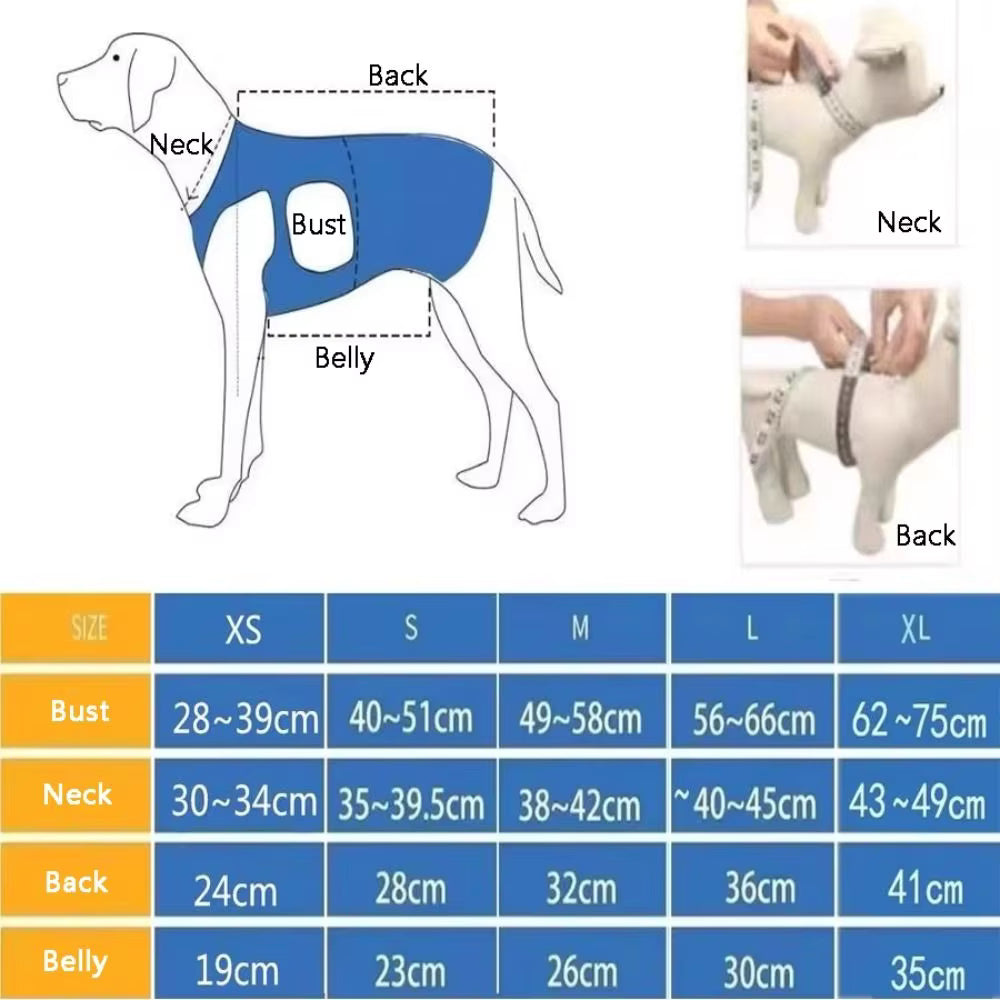 The Rise-Full Body Dog Support Harness