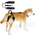 Rear-Assist Dog Sling