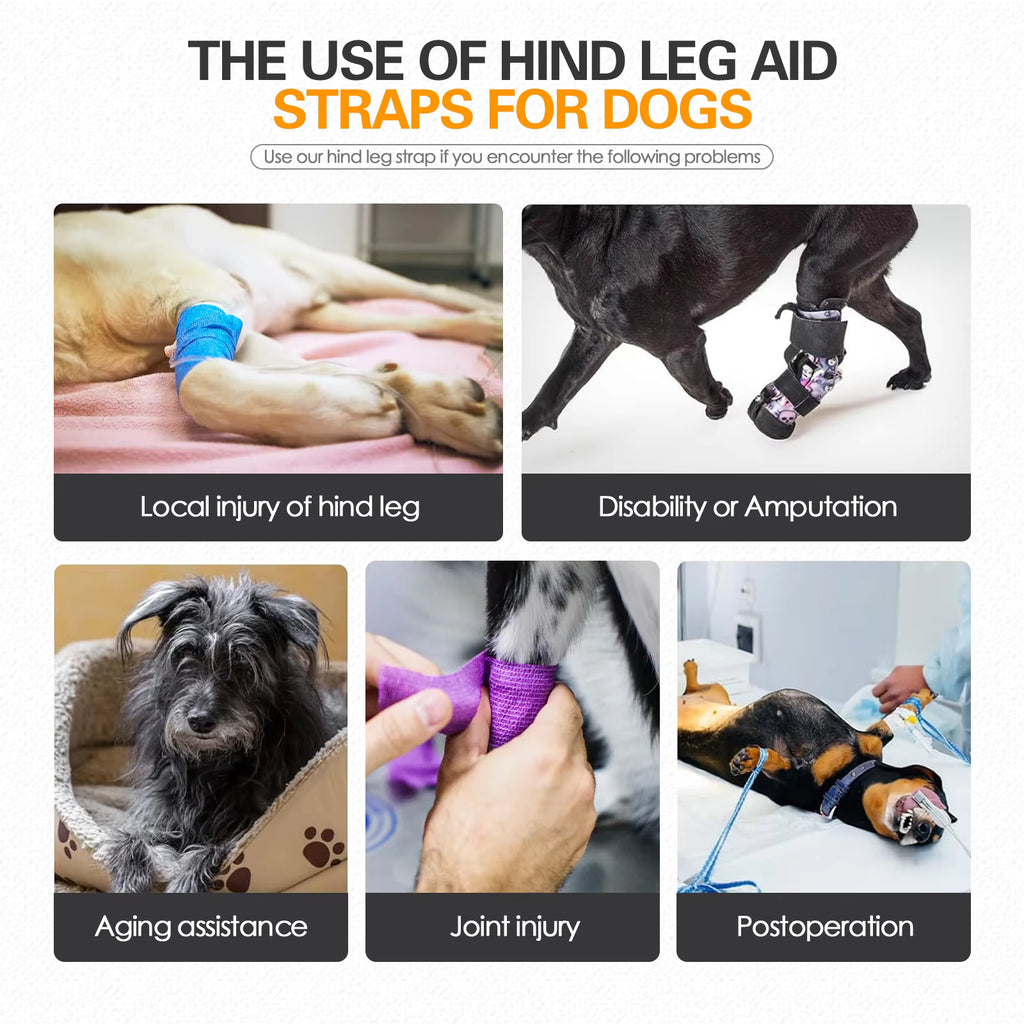 Rear-Assist Dog Sling