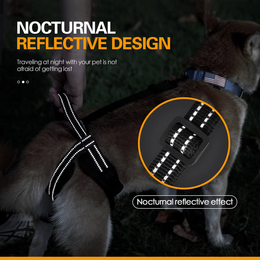 Rear-Assist Dog Sling