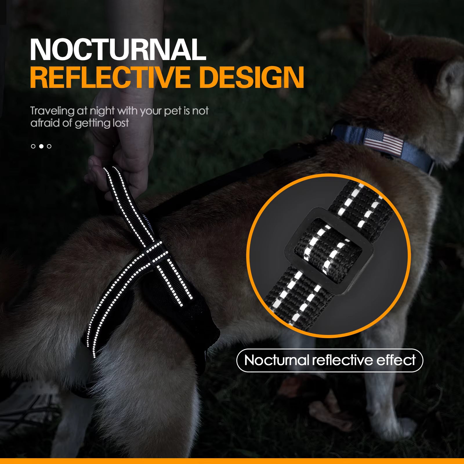 Rear-Assist Dog Sling