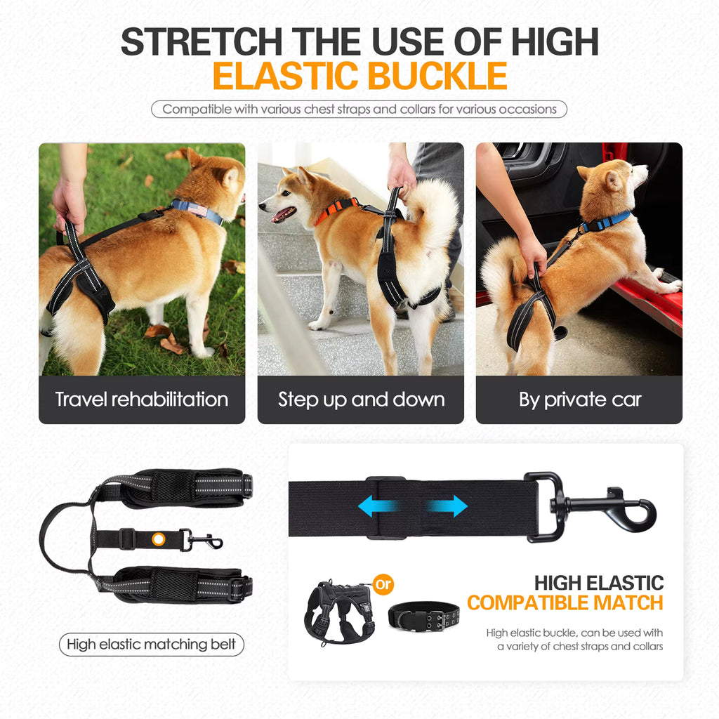 Rear-Assist Dog Sling